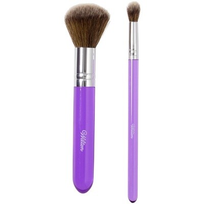 2 Pc.Dusting Brush Set