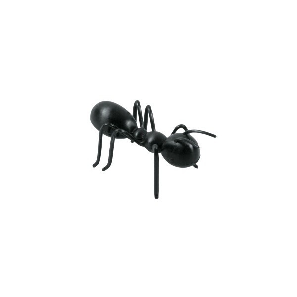 Ants/3