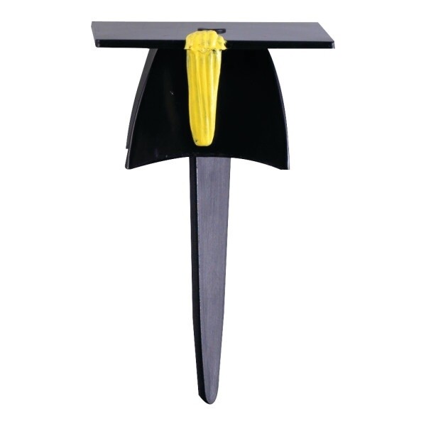 3-D Grad Hat Pick/6