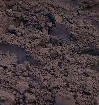 FDA- Ultra Charcoal Black Petal Dust