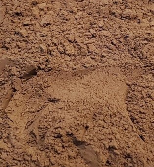 FDA- Cocoa Petal Dust