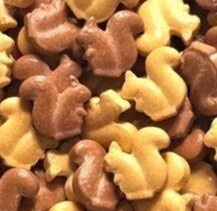 Squirrels 1# Sprinkles