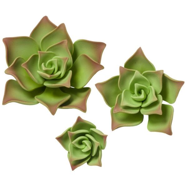 3Pc Green Succulent Set