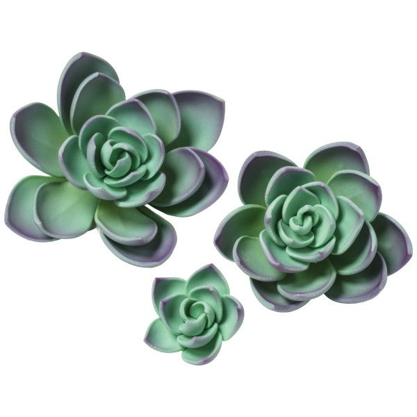 3Pc Purple Succulent  Set