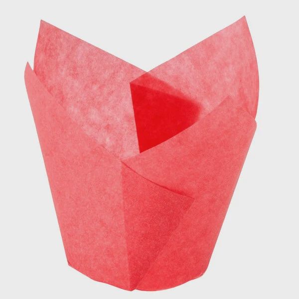 Red Tulip Cup/25