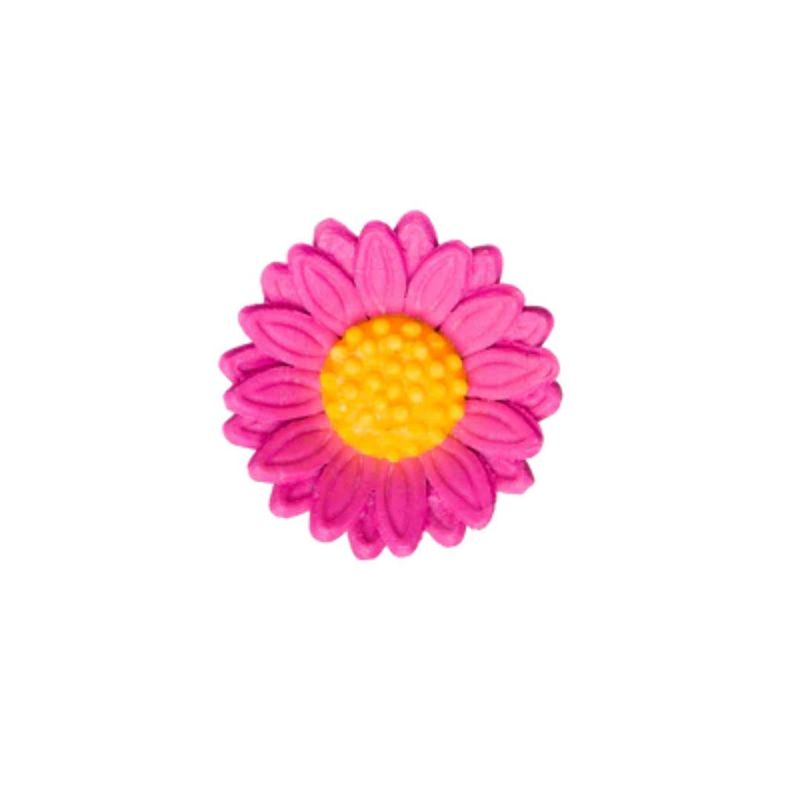 1.5" Hot Pink Shasta Daisy 2pk