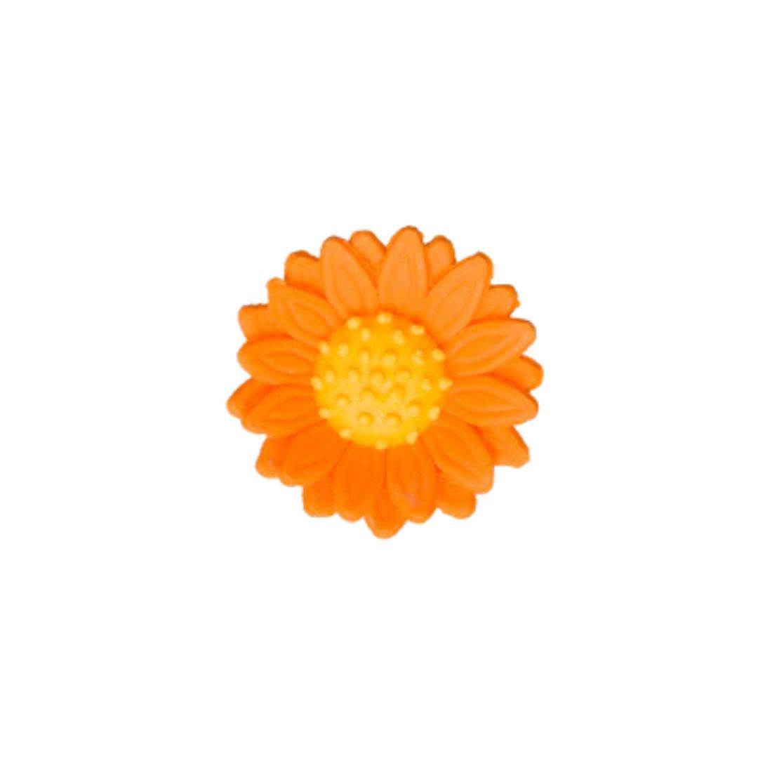 1.5" Orange Shasta Daisy 2pk