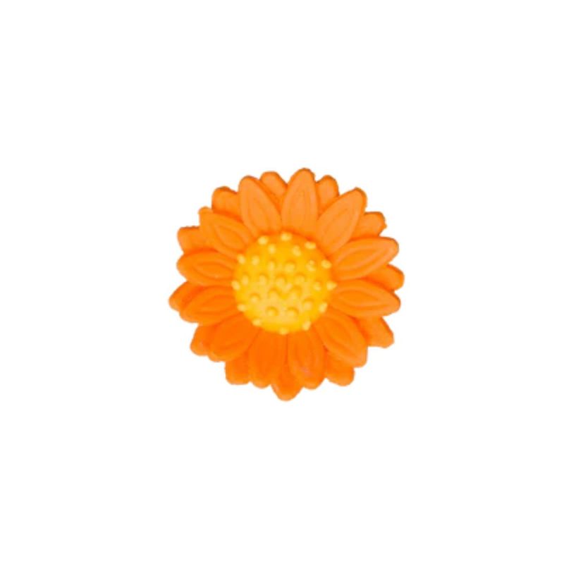 1.5" Orange Shasta Daisy 2pk