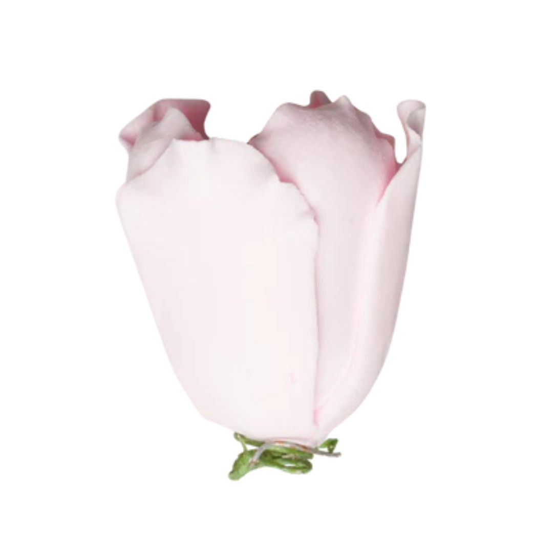 1.5" Pink Tulip Gumpaste