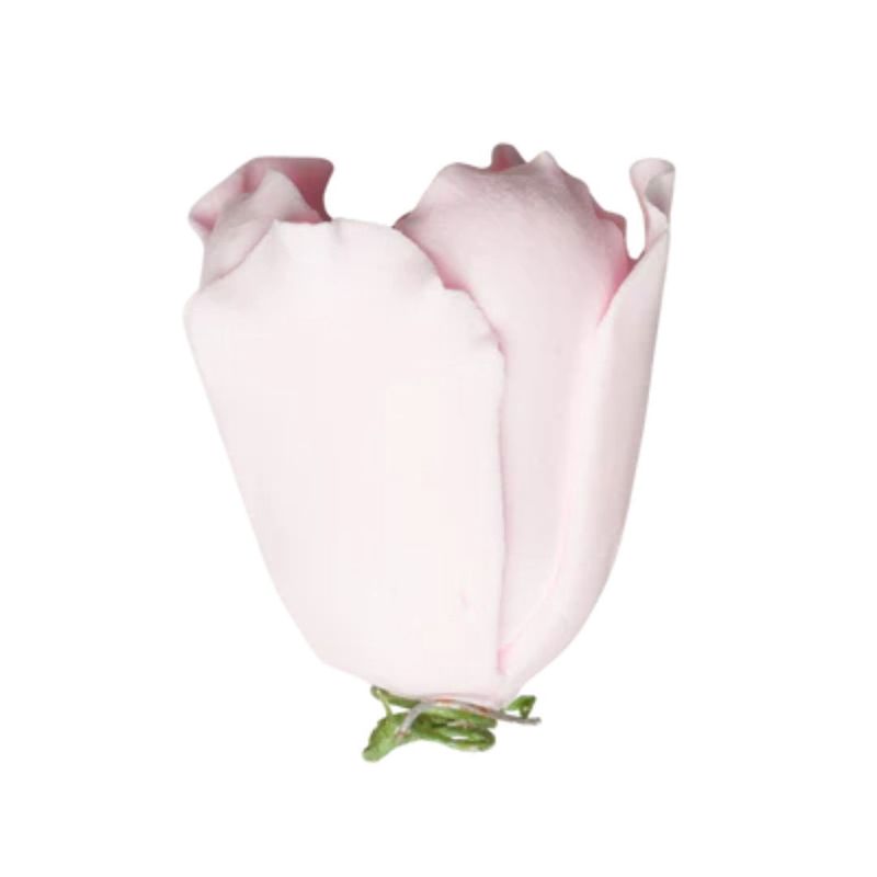 1.5" Pink Tulip Gumpaste