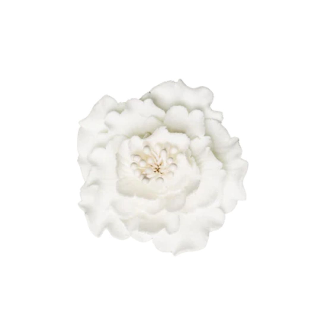 2.5"White Peony -Gumpaste