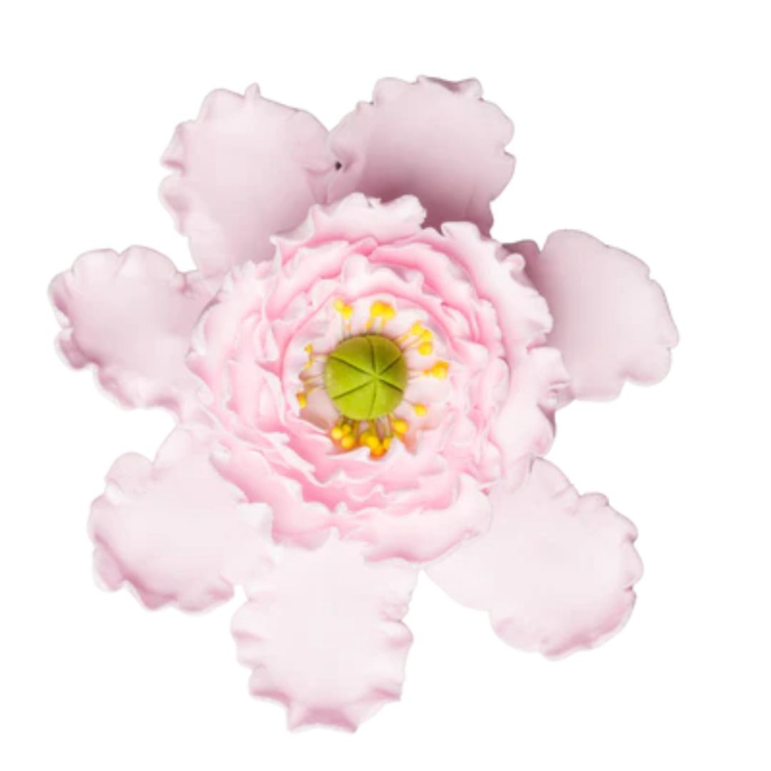 4" Pink Peony  Gumpaste