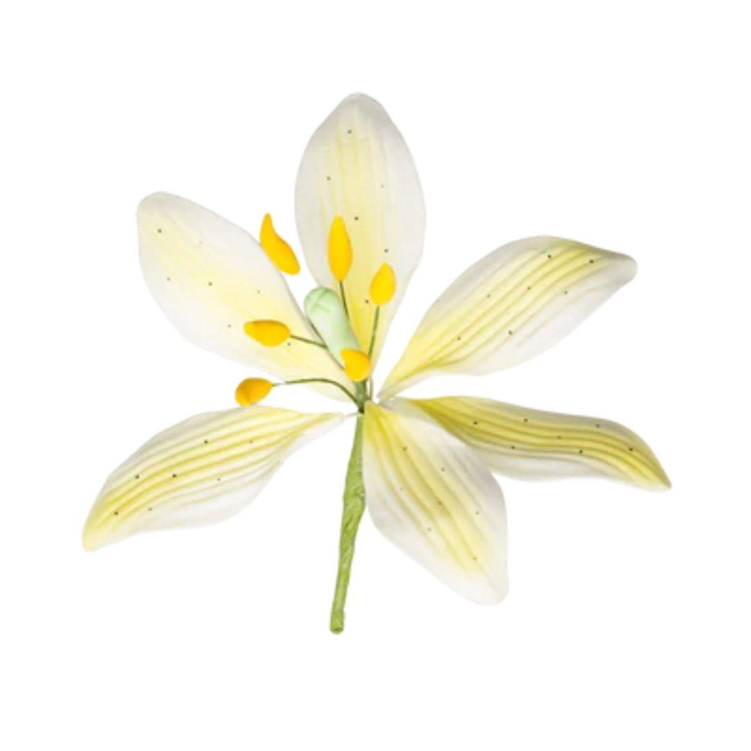 Yellow Stargazer Lily 3.5"