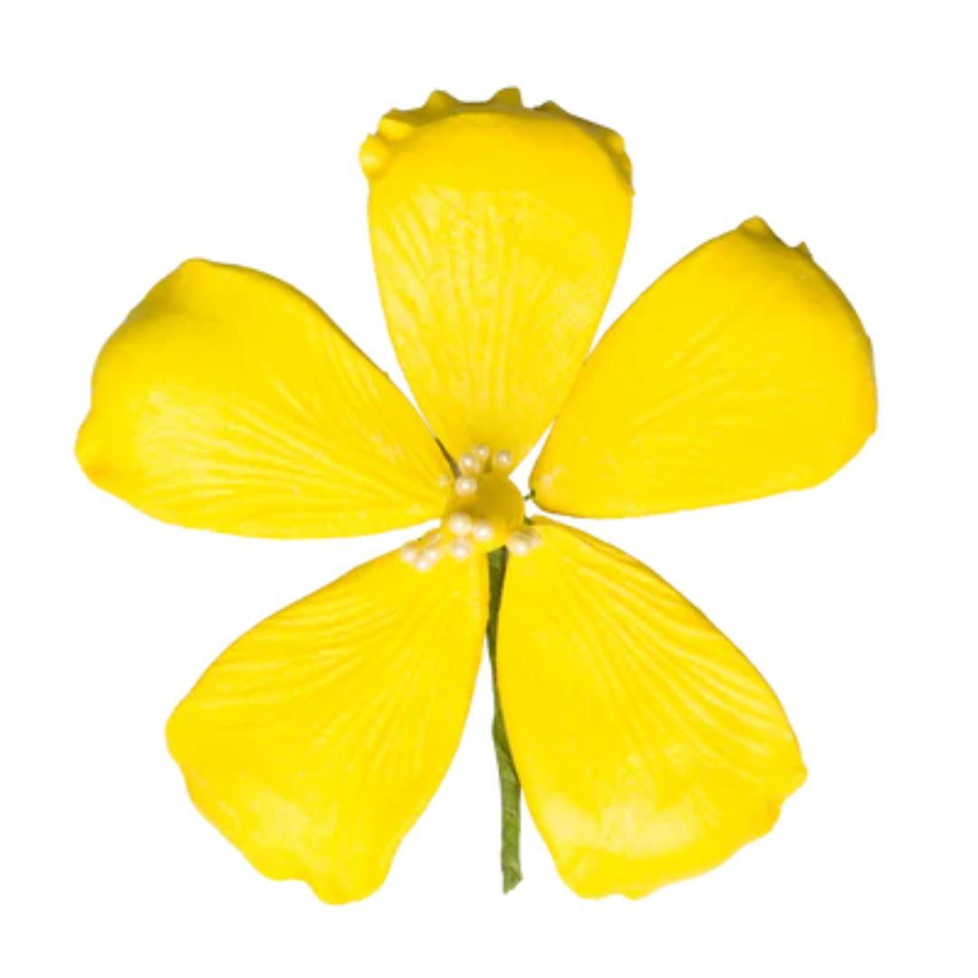 3.5" Yellow Hibiscus Gumpaste