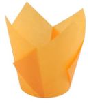 Orange Tulip Cup pk25