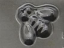 Bee Pc Mold