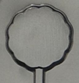 2.5&quot; Plain Scalloped Circle Sucker Mold