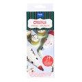 Christmas Fun Decorating Bags/12