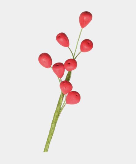 Red Berries Filler Spray/2