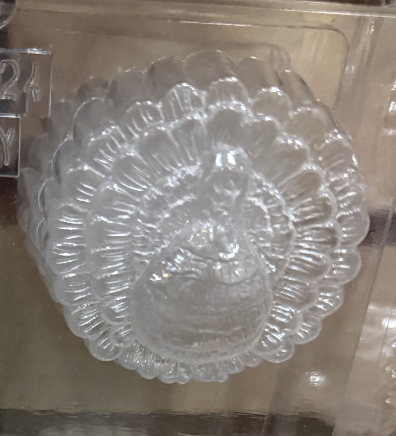 Turkey Cookie Mold