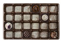 1# Brown Tray Insert- 24 Cavity