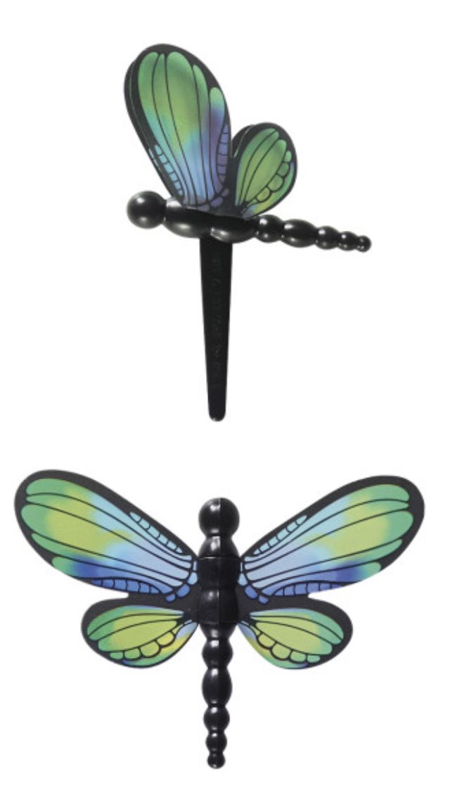 Dragonfly Picks Acetate Wings/2