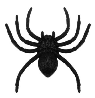 Realistic Black Spider Layon