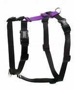 Balance Harness