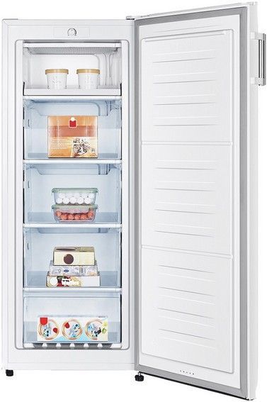 CONGELATEUR ARMOIRE 143,4CM HORN