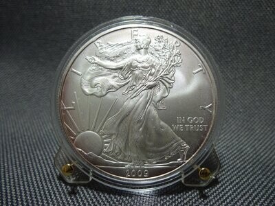 Silbermünze USA 2009 1 Dollar American Silver Eagle Walking Liberty 1 Oz Unze Patina