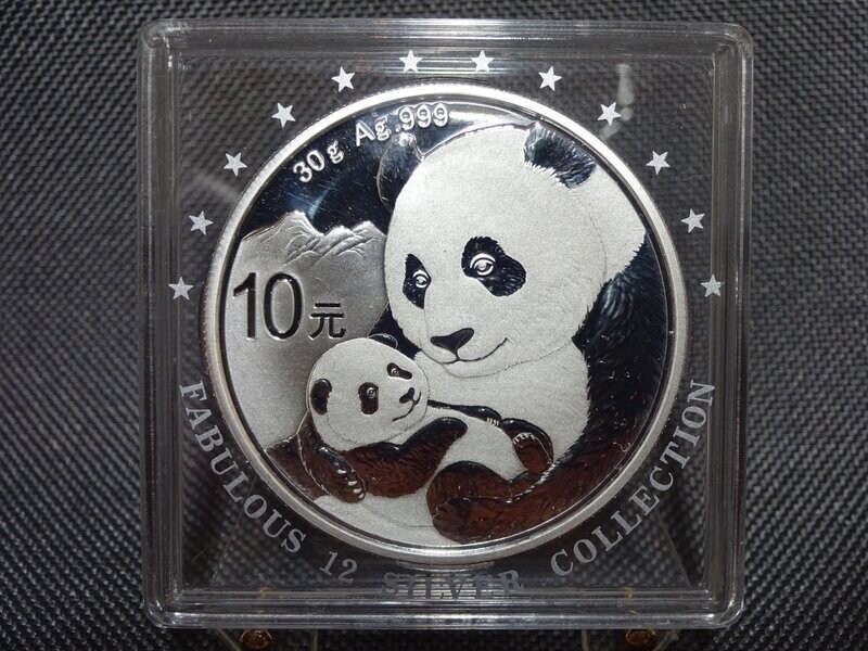 Silbermünze China Panda 2019 10 Yuan 30g Fabulous 12 Silver Collection