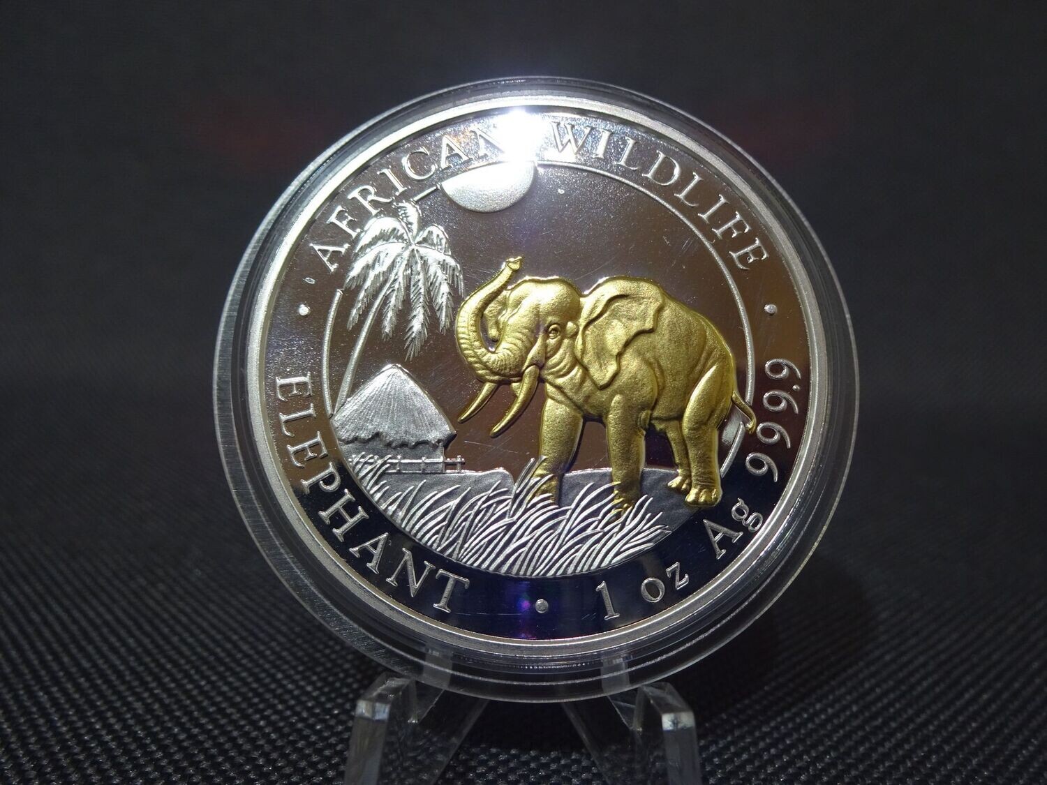 Silbermünze Somalia Elefant 2017 100 Shillings African Wildlife Gilded 1 Oz Unze