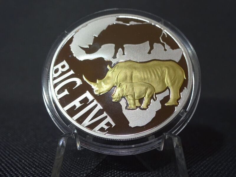 Silbermünze Kongo 2013 240 Francs Africa Big Five Nashorn Gilded 1 Oz Unze