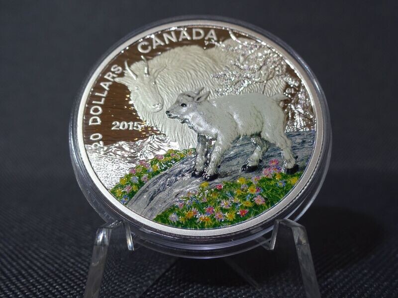 Silbermünze Kanada 2015 20 Dollars Bergziege Tierkinder Farbe PP Proof > 1Oz Unze Silbermünze Kanada 2015 20 Dollars Bergziege Tierkinder Farbe PP Proof > 1Oz Unze