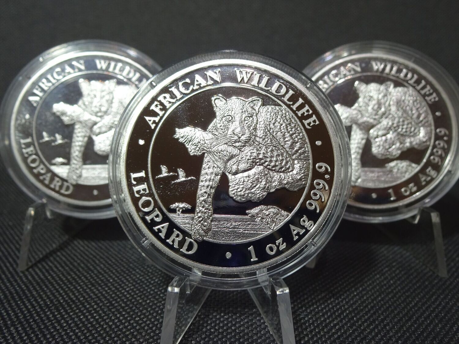 Silbermünze Somalia Leopard 2020 100 Shillings African Wildlife 1 Oz Unze