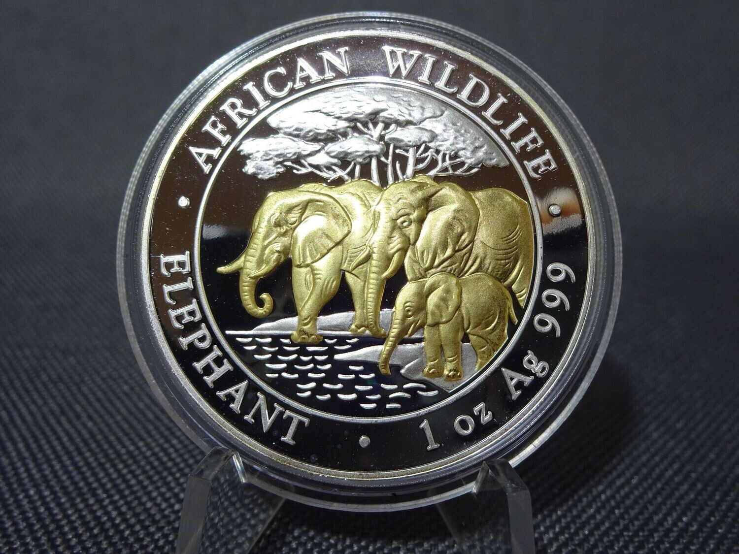 Silbermünze Somalia Elefant 2013 100 Shillings African Wildlife Gilded 1 Oz Unze