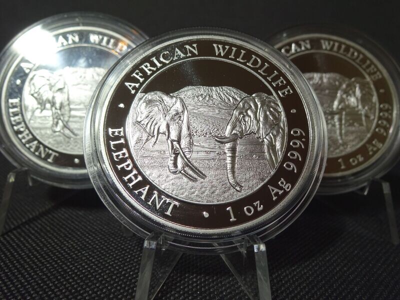Silbermünze Somalia Elefant 2020 100 Shillings African Wildlife 1 Oz Unze Silbermünze Somalia Elefant 2020 100 Shillings African Wildlife 1 Oz Unze