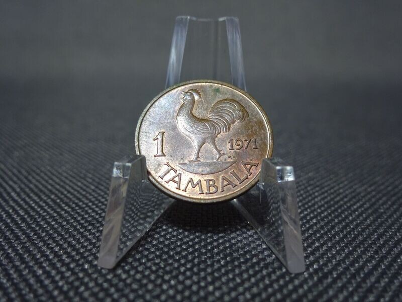 Münze Malawi 1971 1 Tambala Hahn