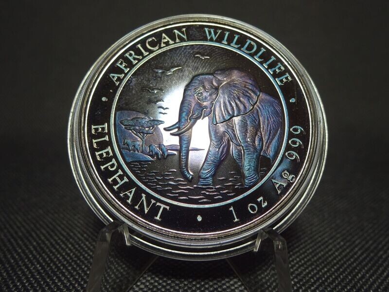 Silbermünze Somalia Elefant 2010 100 Shillings African Wildlife Lila Blau Tönung Farbe 1 Oz Unze Silbermünze Somalia Elefant 2010 100 Shillings African Wildlife Lila Blau Tönung Farbe 1 Oz Unze
