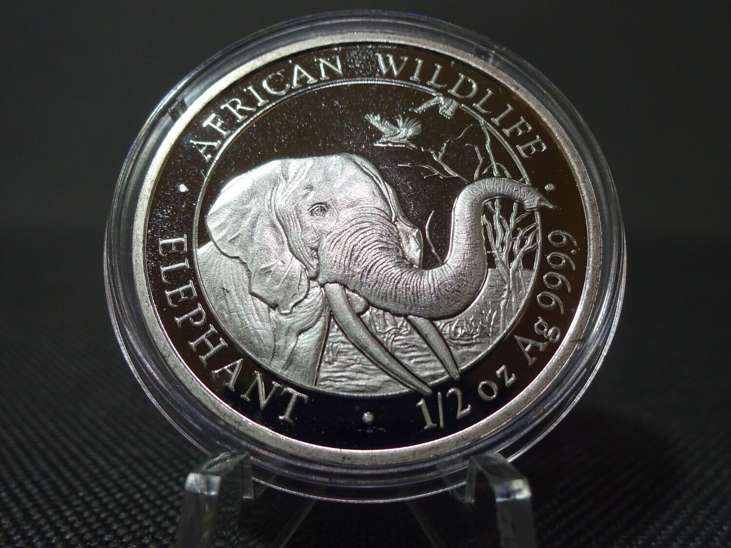 Silbermünze Somalia Elefant 2018 50 Shillings African Wildlife 1/2 Oz Unze