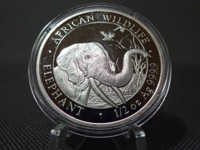 Silbermünze Somalia Elefant 2018 50 Shillings African Wildlife 1/2 Oz Unze Silbermünze Somalia Elefant 2018 50 Shillings African Wildlife 1/2 Oz Unze