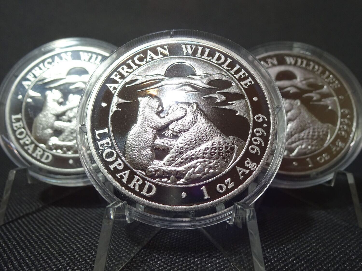 Silbermünze Somalia Leopard 2019 100 Shillings African Wildlife 1 Oz Unze