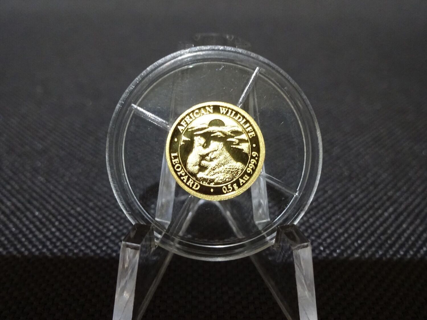 Goldmünze Somalia Leopard 2019 20 Shillings African Wildlife 0,5 g