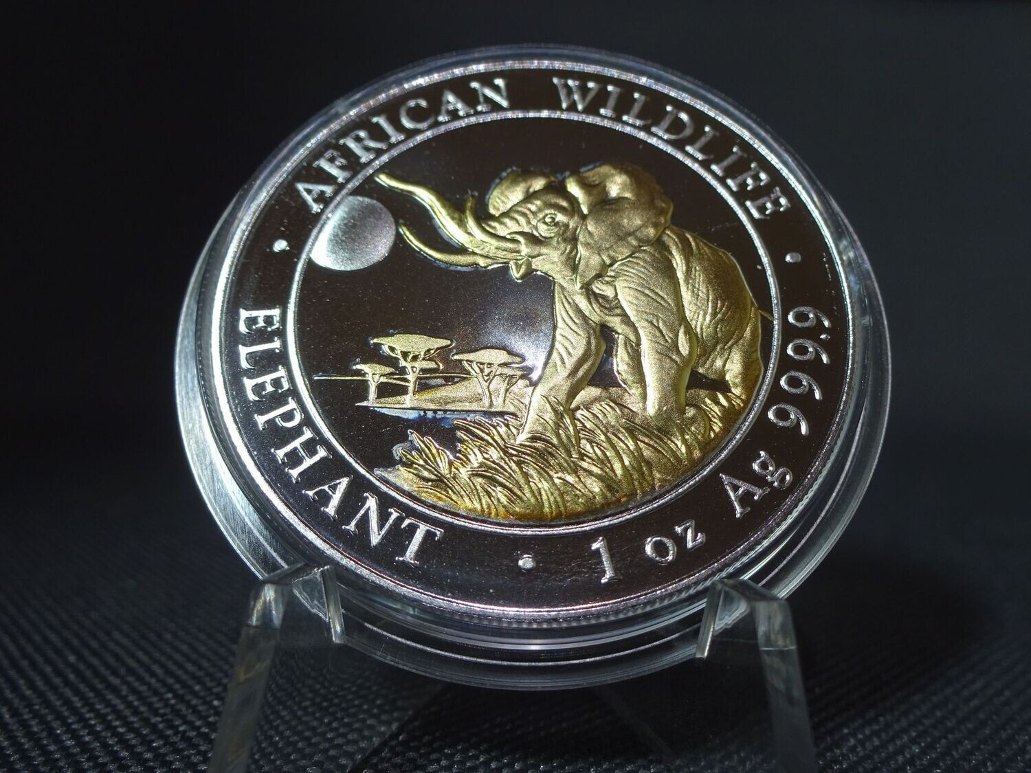 Silbermünze Somalia Elefant 2016 100 Shillings African Wildlife Gilded 1 Oz Unze