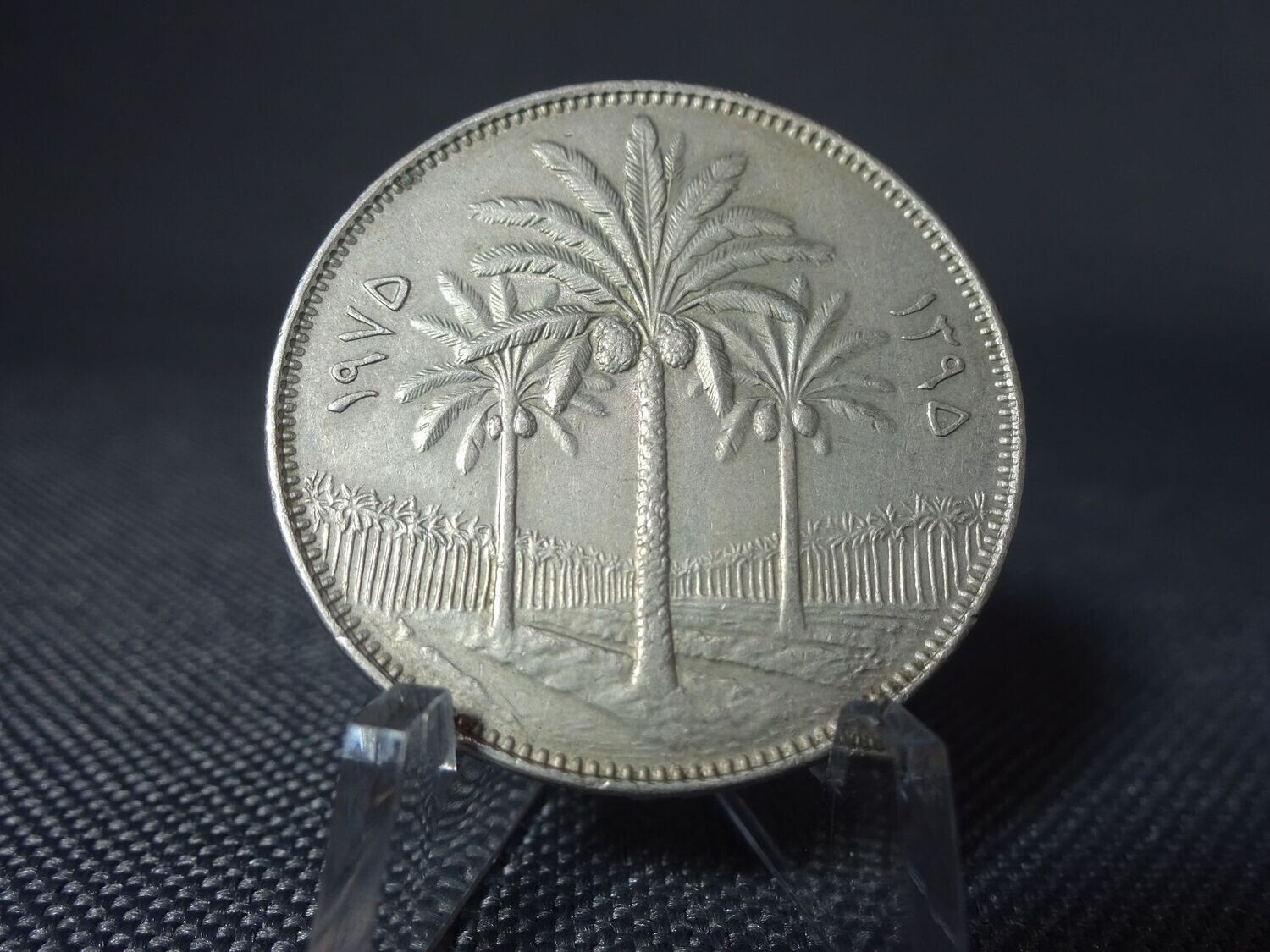 Münze Irak 1975 100 Fils Palmen