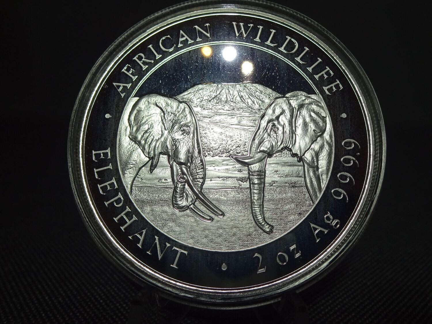 Silbermünze Somalia Elefant 2020 200 Shillings African Wildlife 2 Oz Unze