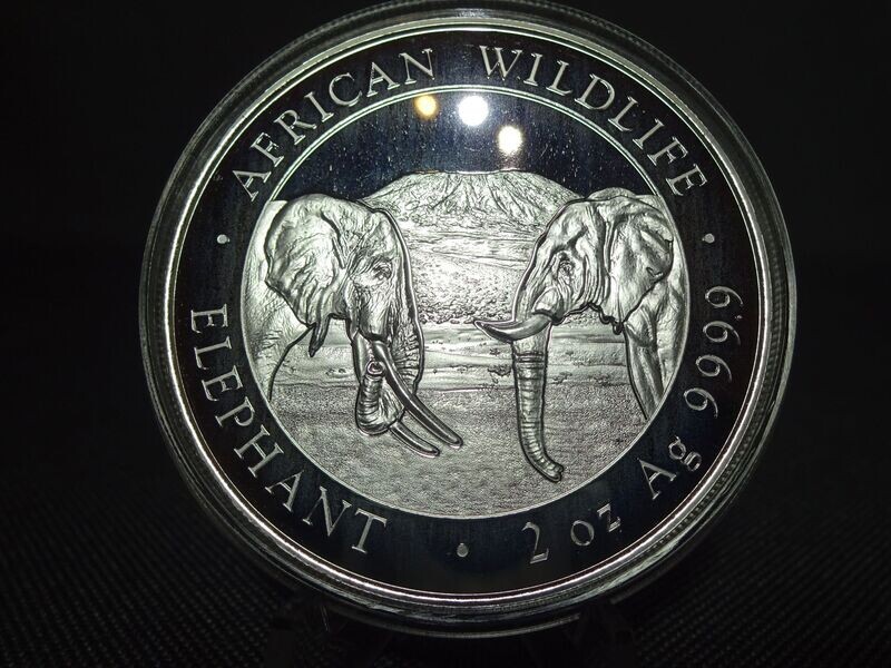 Silbermünze Somalia Elefant 2020 200 Shillings African Wildlife 2 Oz Unze Silbermünze Somalia Elefant 2020 200 Shillings African Wildlife 2 Oz Unze