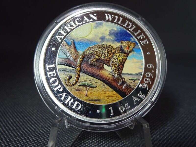 Silbermünze Somalia Leopard 2021 100 Shillings African Wildlife Farbe 1 Oz Unze Silbermünze Somalia Leopard 2021 100 Shillings African Wildlife Farbe 1 Oz Unze