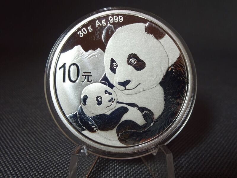 Silbermünze China Panda 2019 10 Yuan 30 g
