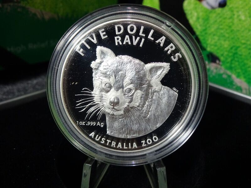 Silbermünze Australien 2018 5 Dollars Roter Panda Ravi Australia Zoo High Relief PP Proof 1 Oz Unze Selten Silbermünze Australien 2018 5 Dollars Roter Panda Ravi Australia Zoo High Relief PP Proof 1 Oz Unze Selten